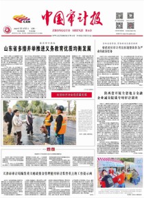 中国审计报